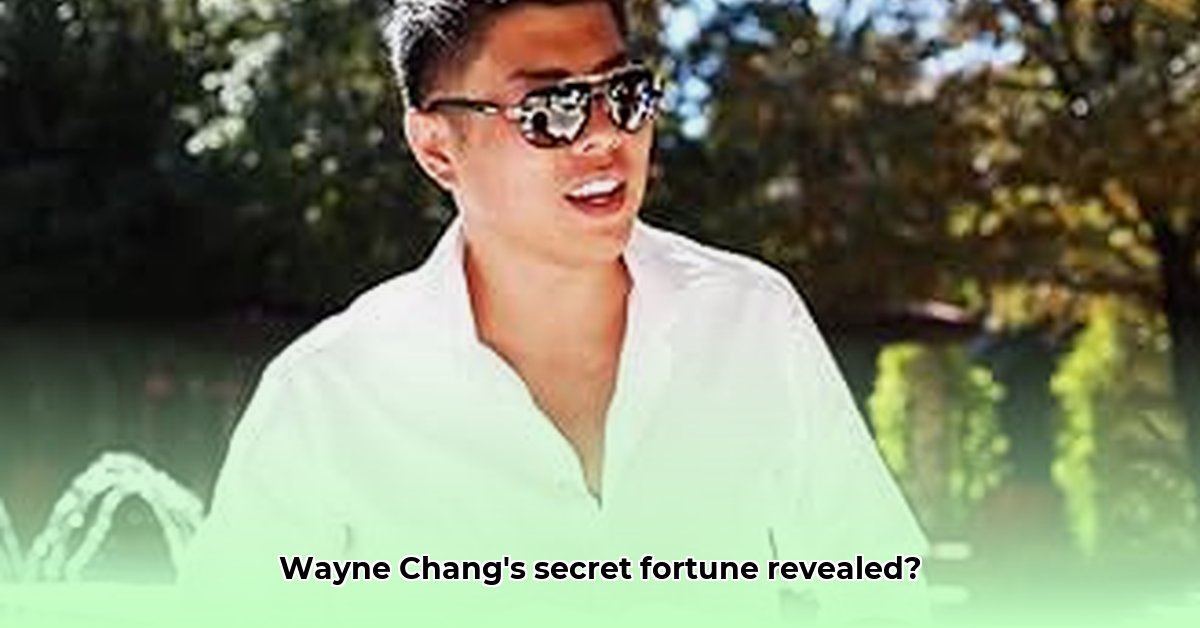 wayne-chang-net-worth